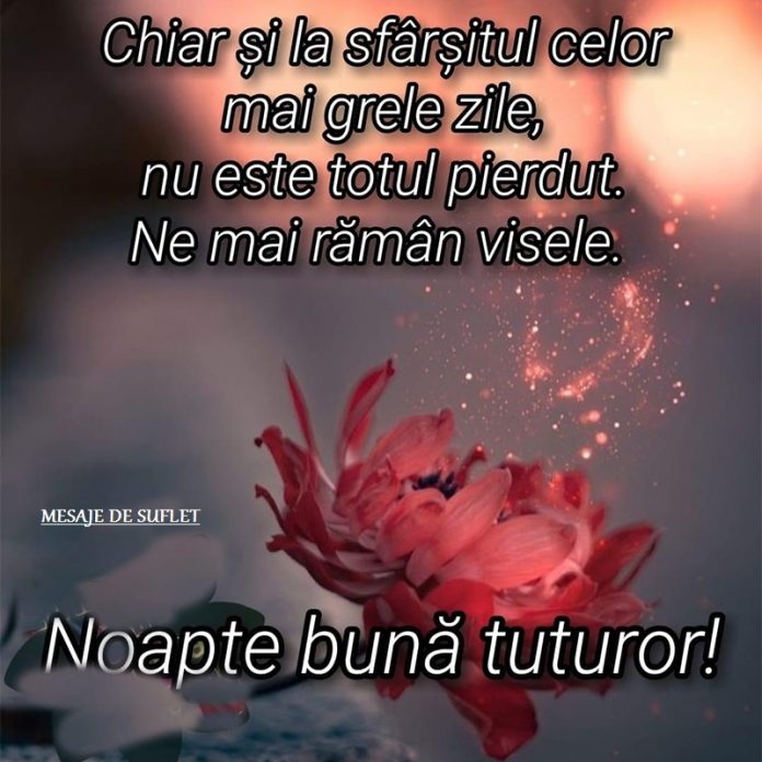 Noapte buna tuturor