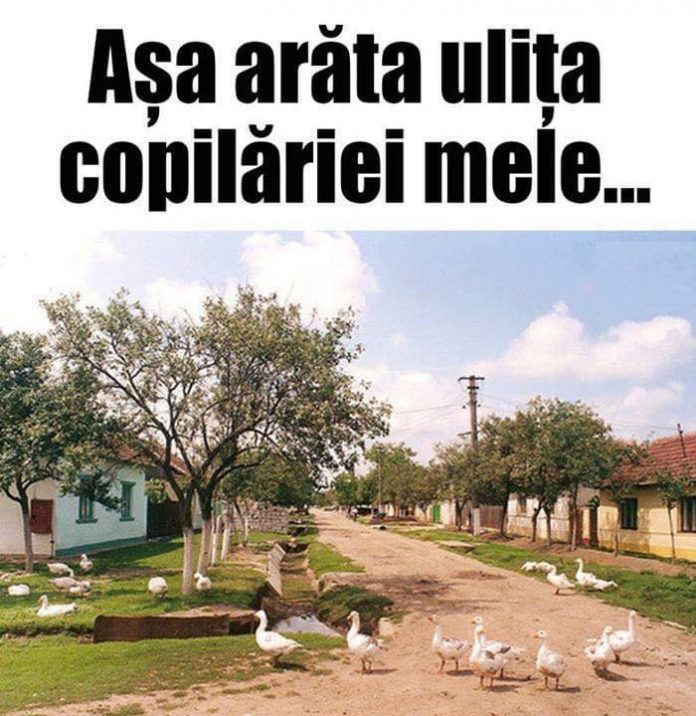 Ulița copilăriei mele