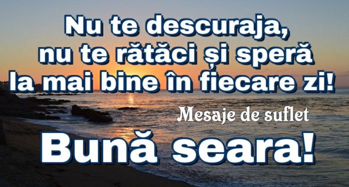 Bună seara!