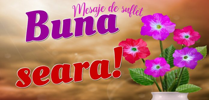 Bună seara!