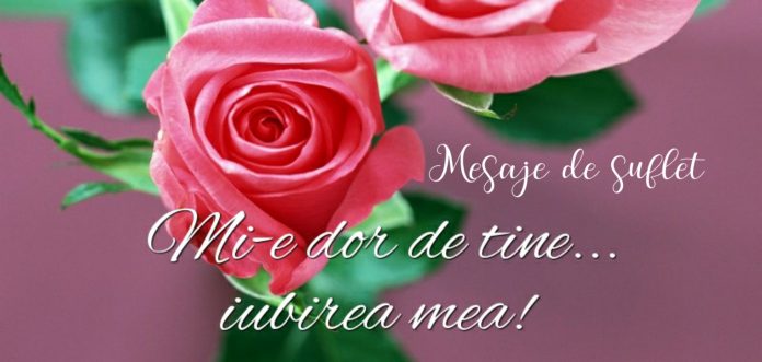 Mi-e dor de tine!