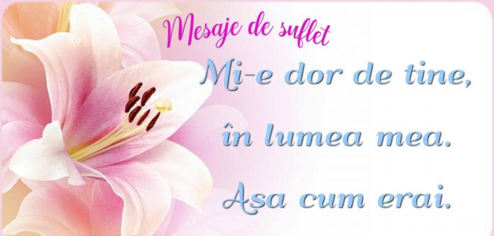 Mi-e dor de tine