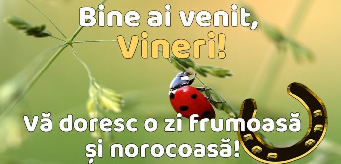 Bine ai venit, vineri