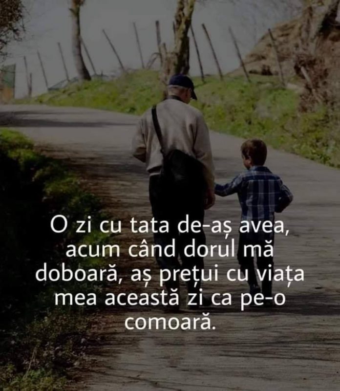 o zi cu tata