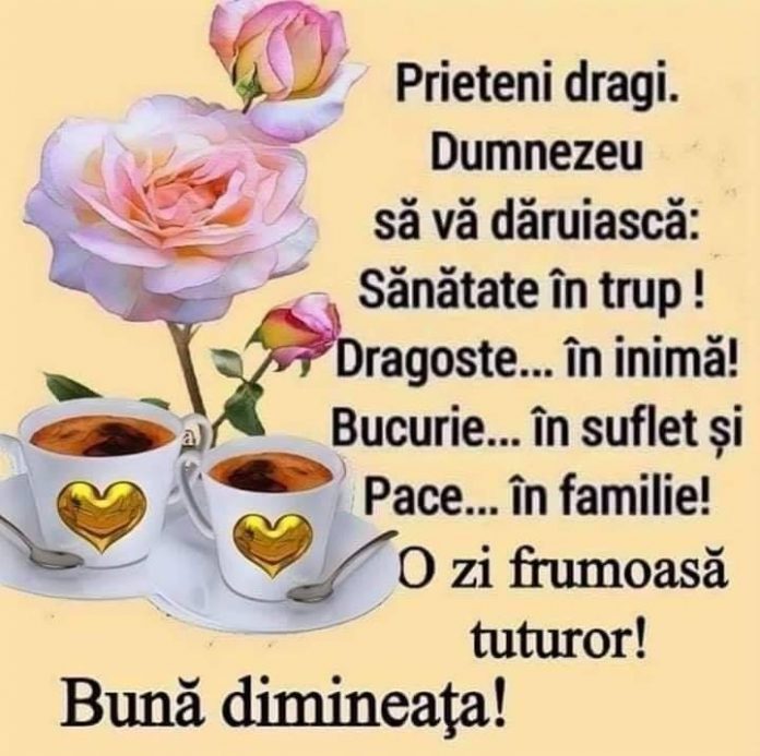 buna dimineata