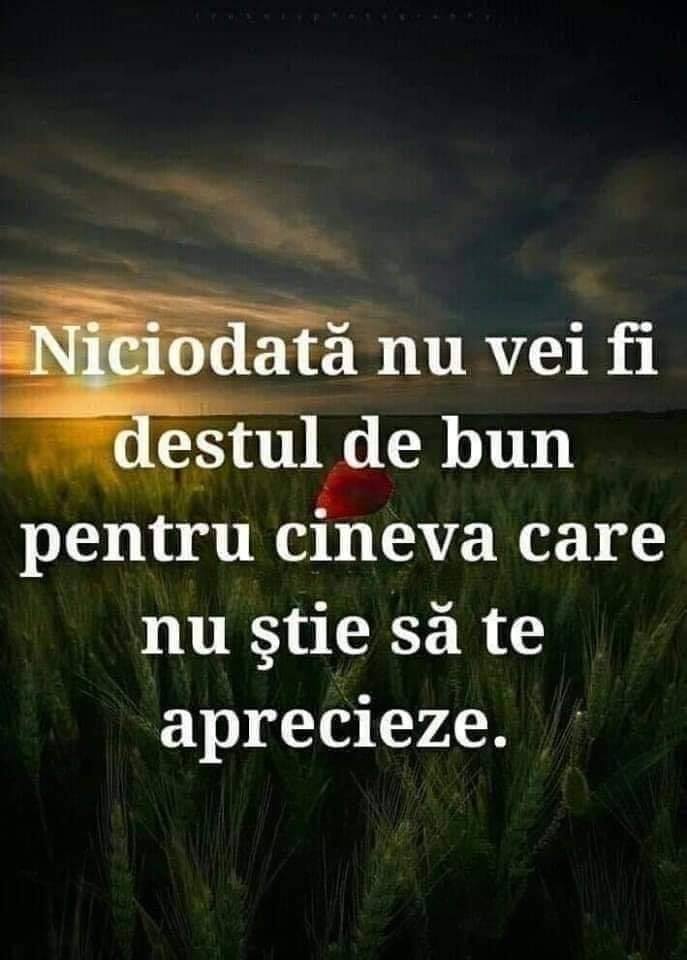 10 vnb
