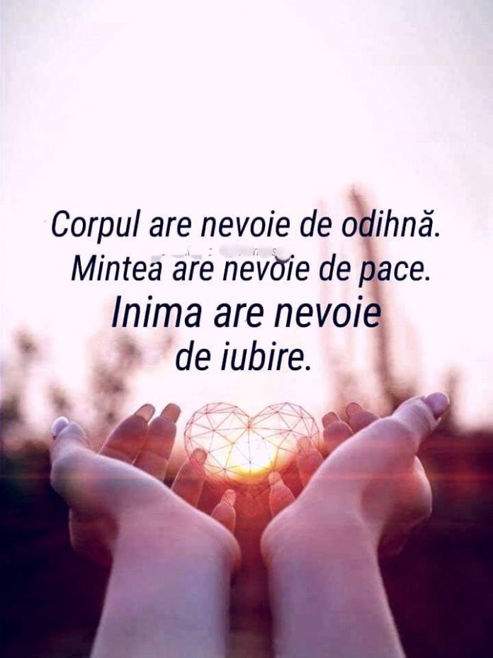 14 vnb
