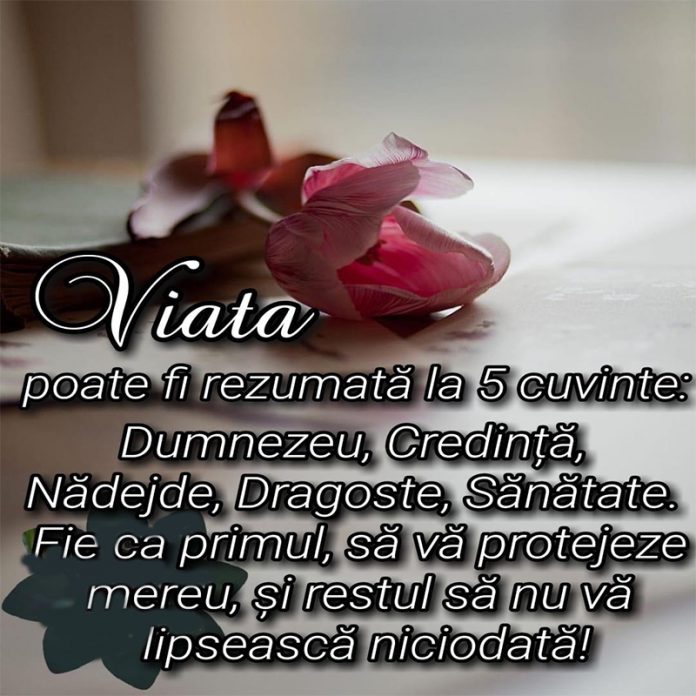 Viata poate fi rezumata la 5 cuvinte