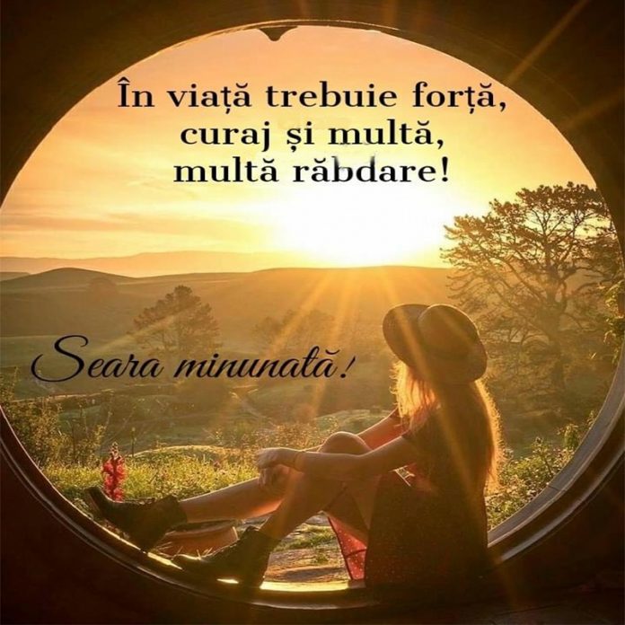 Forță, curaj și multă răbdare