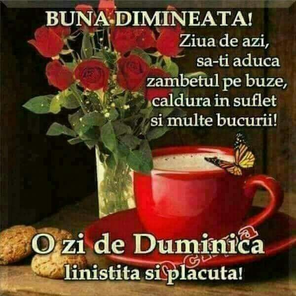 buna dimineata