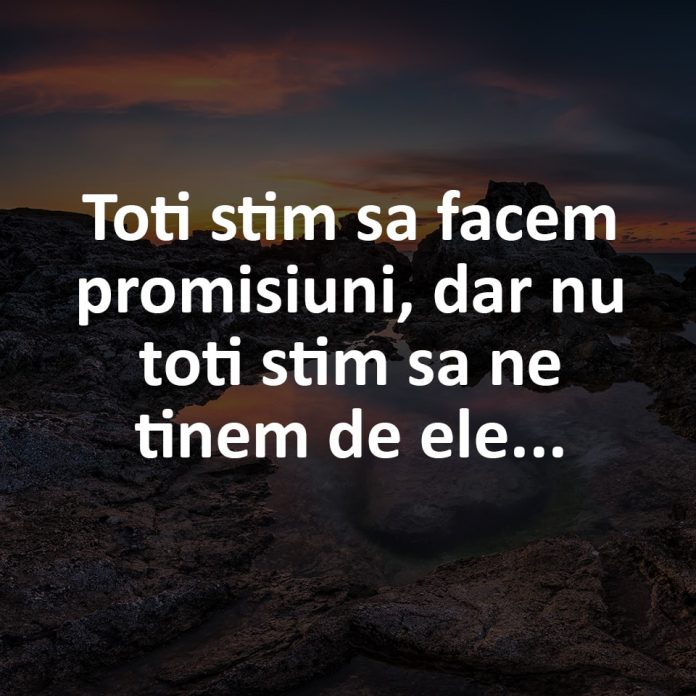 Promisiuni