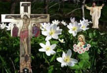 Legenda Florii Pastelui – Una dintre cele mai frumoase povestiri