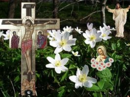 Legenda Florii Pastelui – Una dintre cele mai frumoase povestiri