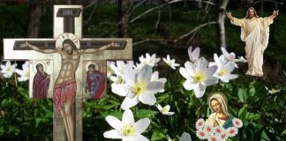 Legenda Florii Pastelui – Una dintre cele mai frumoase povestiri