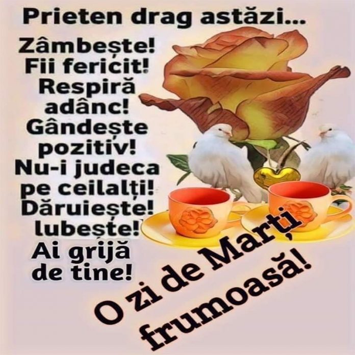 O zi de marți frumoasă!