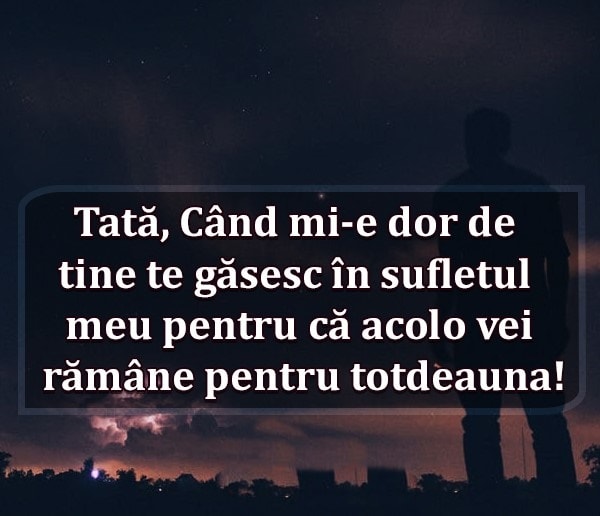 Mi-e dor de tata