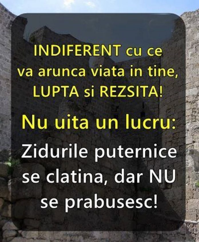Luptă si rezista