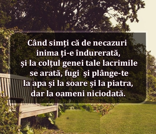Când simți că de necazuri inima ți-e îndurerată