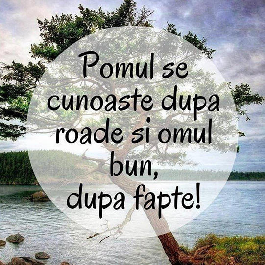 Pomul se cunoaște după roade