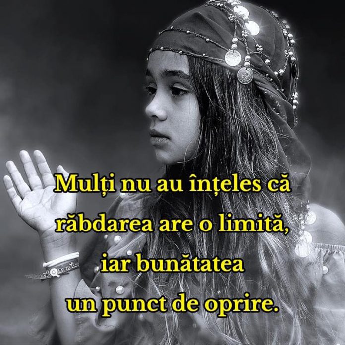 14 vnb