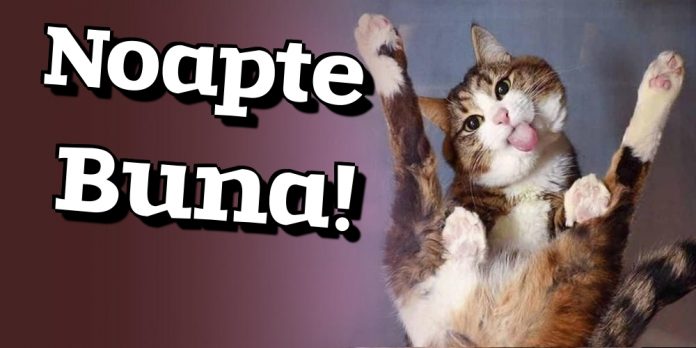 noapte buna