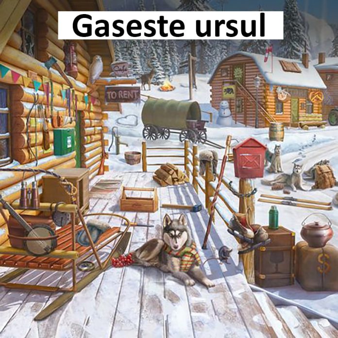 Găsește ursul