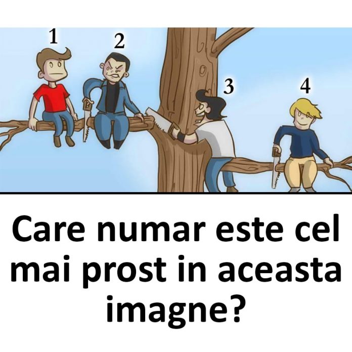 test de intelingenta