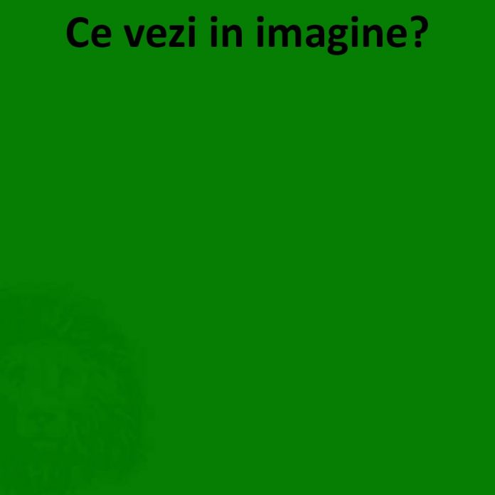 ce vezi in imagine?