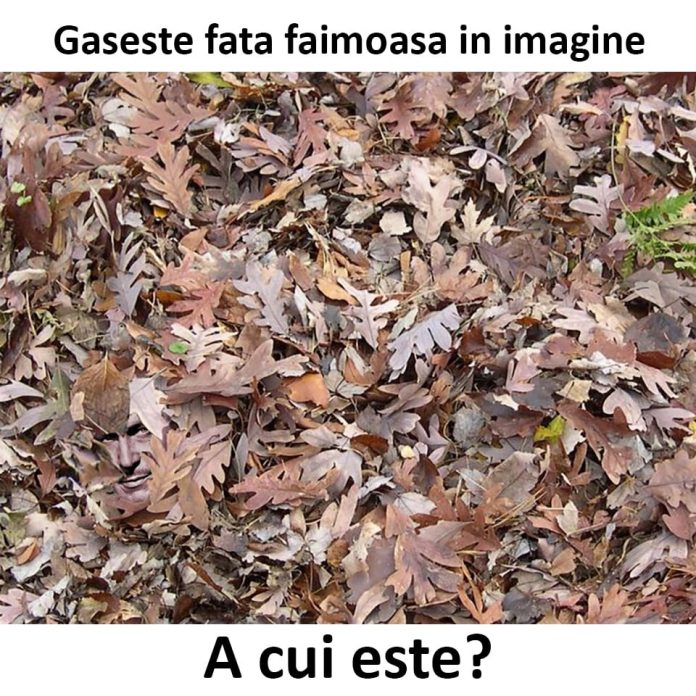 Test de atenție