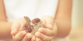 Să fim recunoscători pentru ce avem, să împărțim iubire si bunătate – Doar asa ne hrănim sufletul