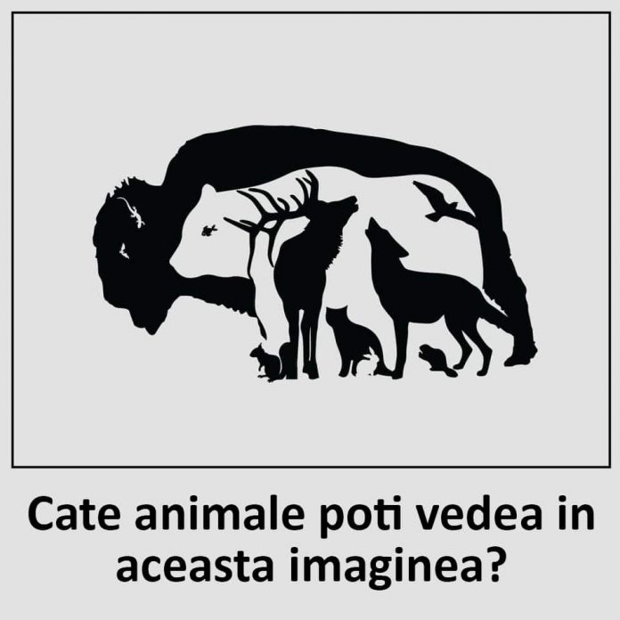 câte animale sunt în această imagine