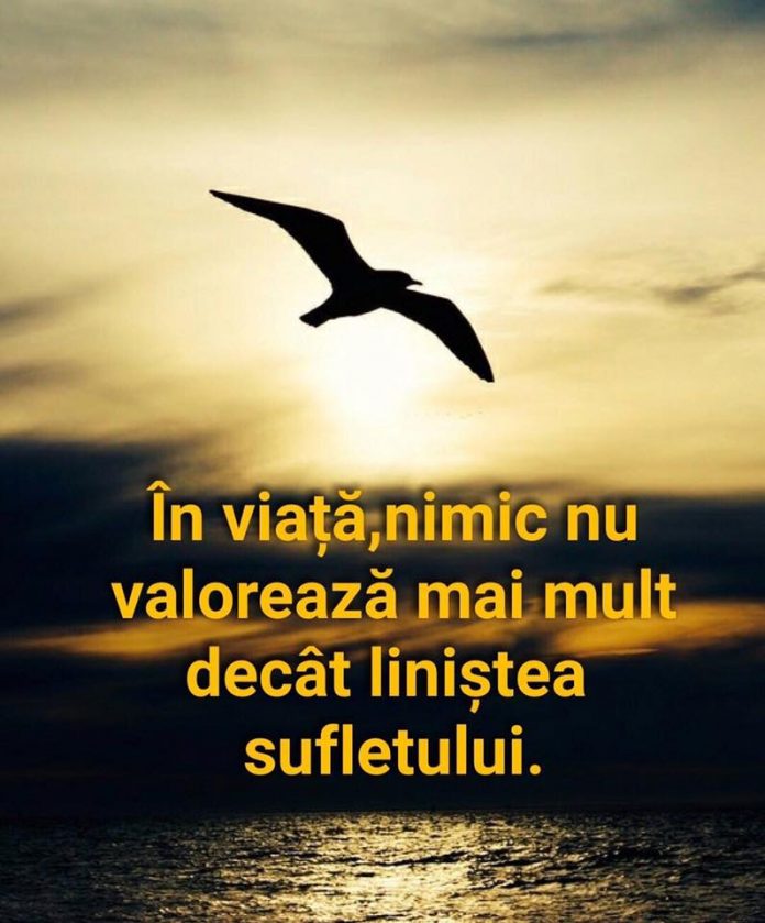 10 vnb