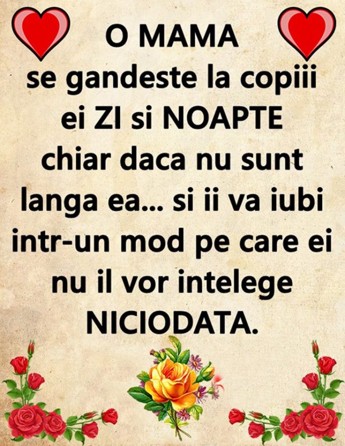 10 vnb