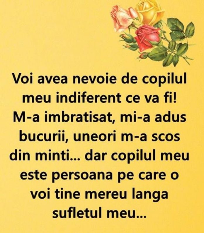 101 vnb