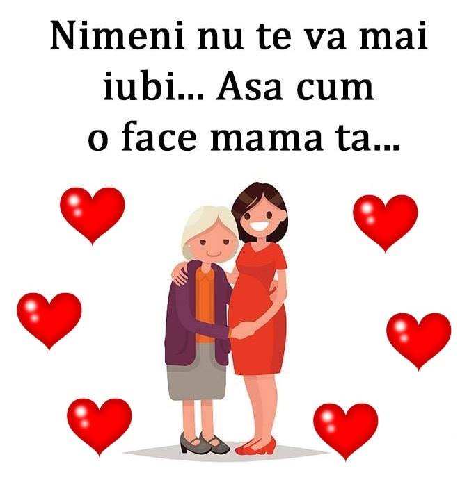 12 vnb