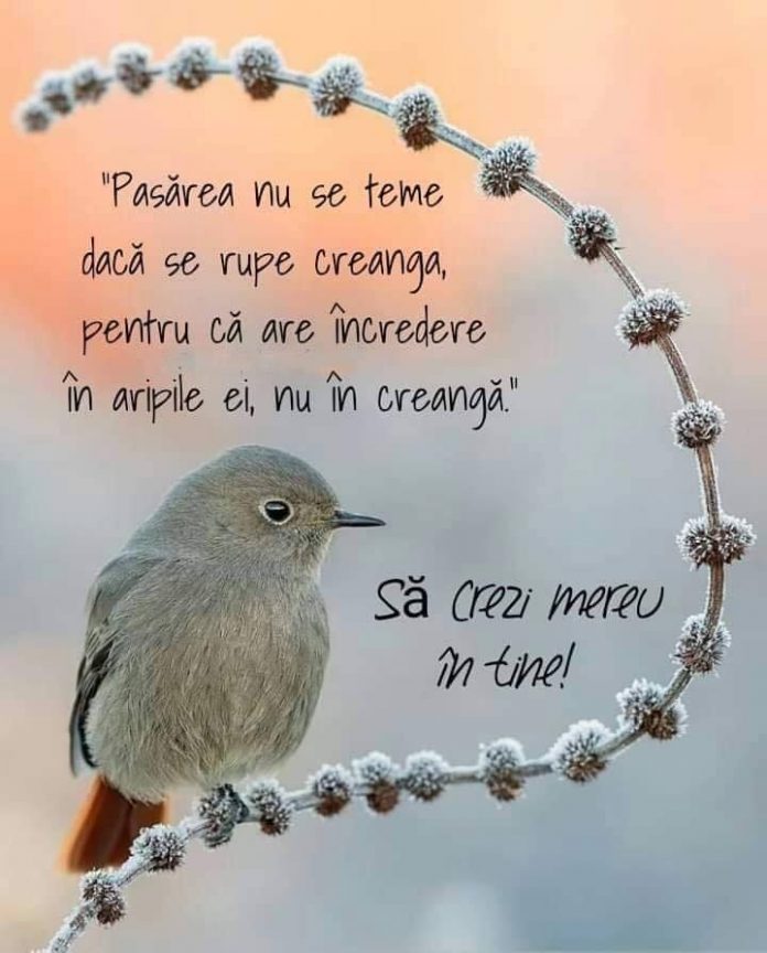 10 vnb