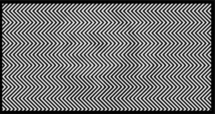 13 vnb