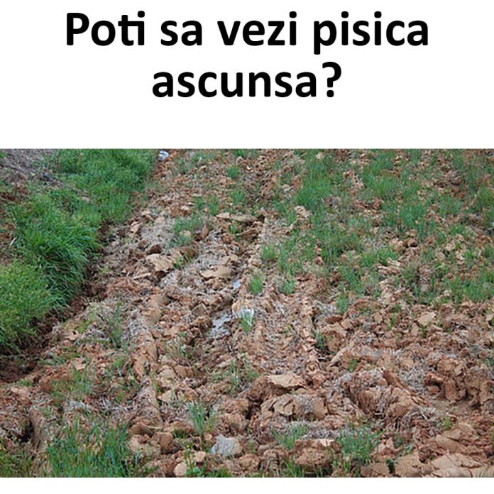 21 vnb