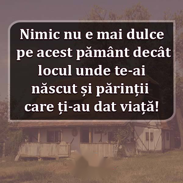 22 vnb