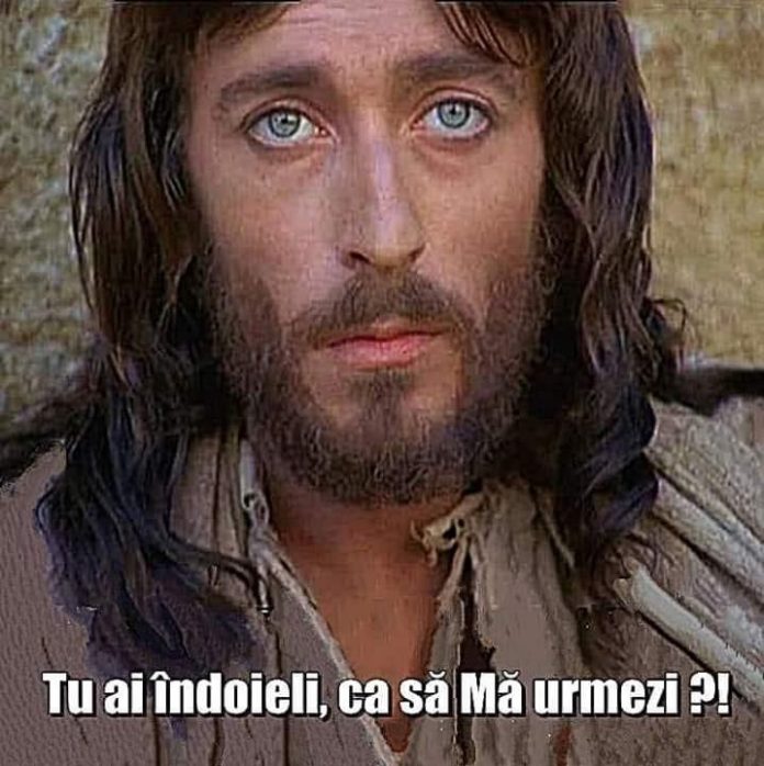 16-6 vnb