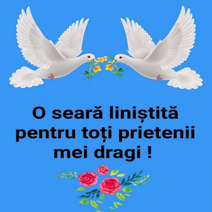 O seară linistită