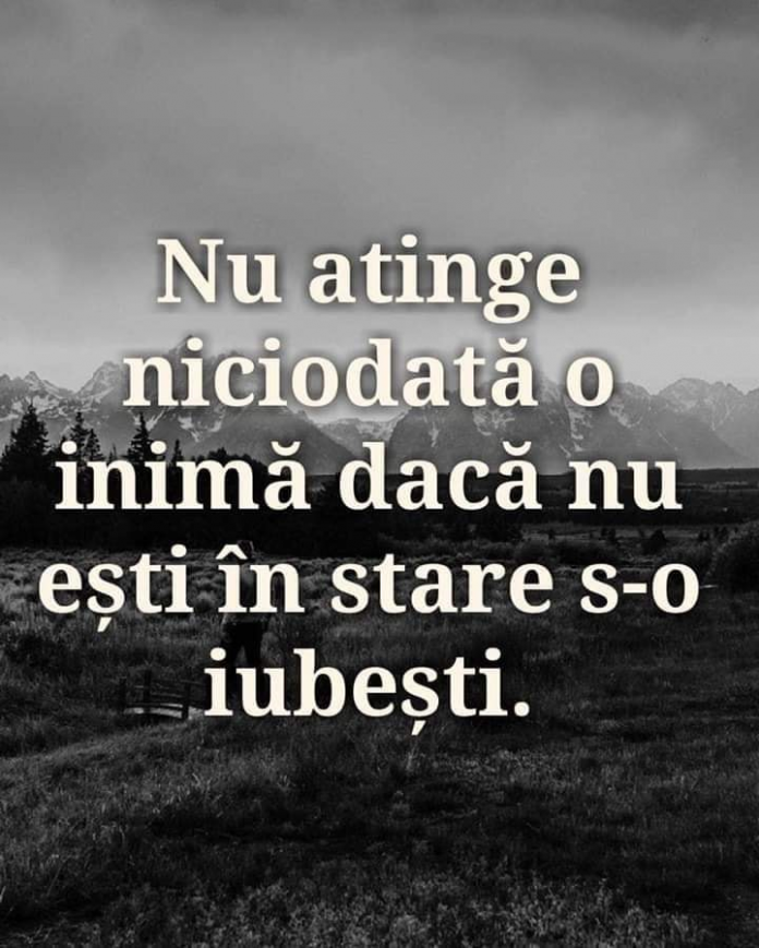 8 vnb