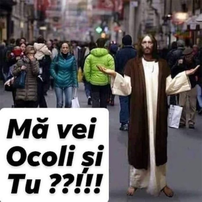 11 vnb