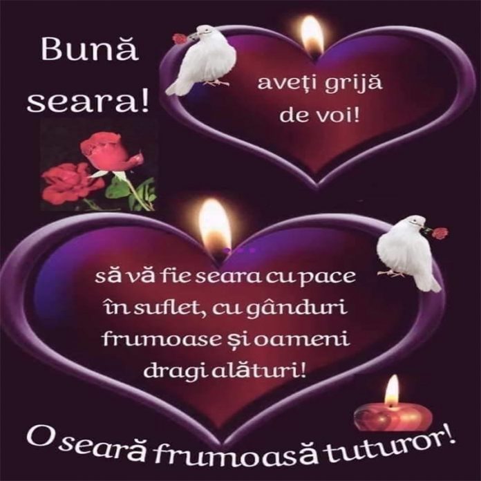 bună seara