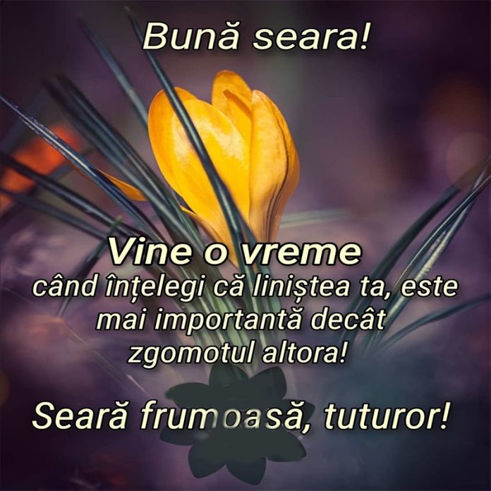 Bună seara!