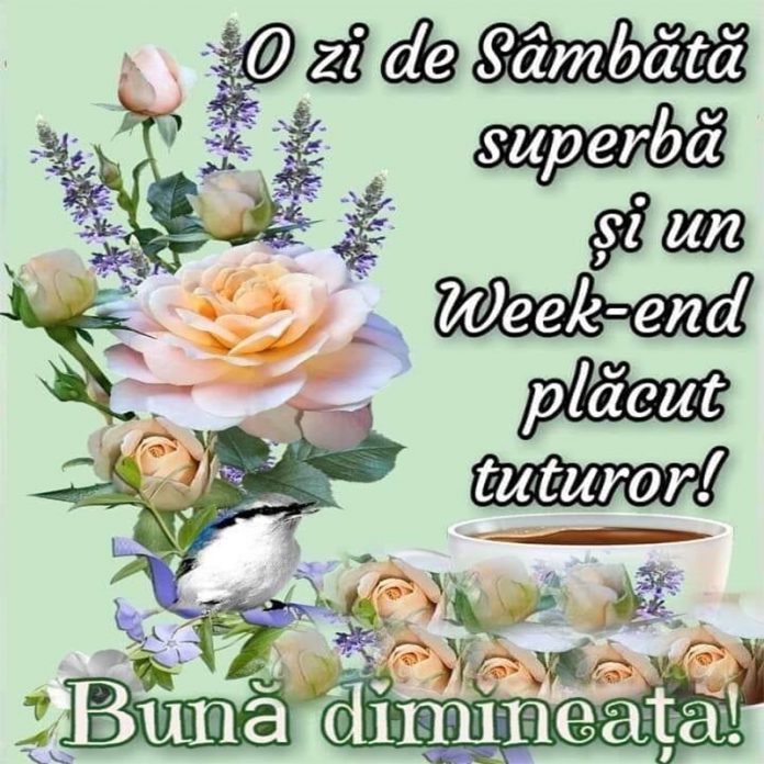 5-22 vnb