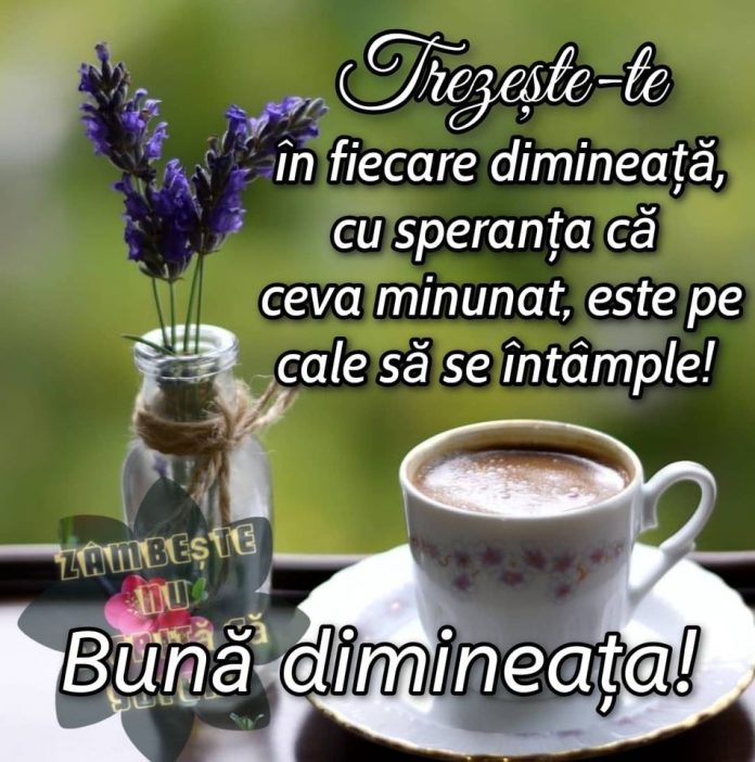 buna dimineata