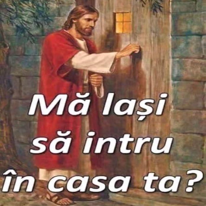 546