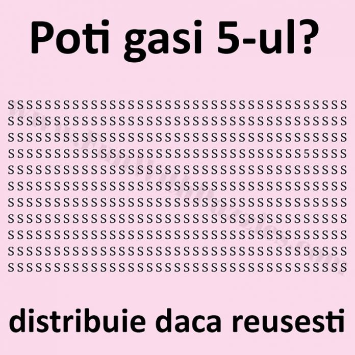 256