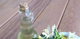 SIROP din FLORI de MÂNA MAICII DOMNULUI- tratează boli respiratorii, infecții bacteriene, infecții urinare, tulburări digestive